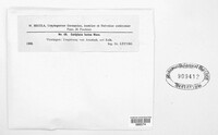 Image Associated With the Occurence